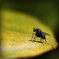 /album/diamond/photolia-a07-jpg/